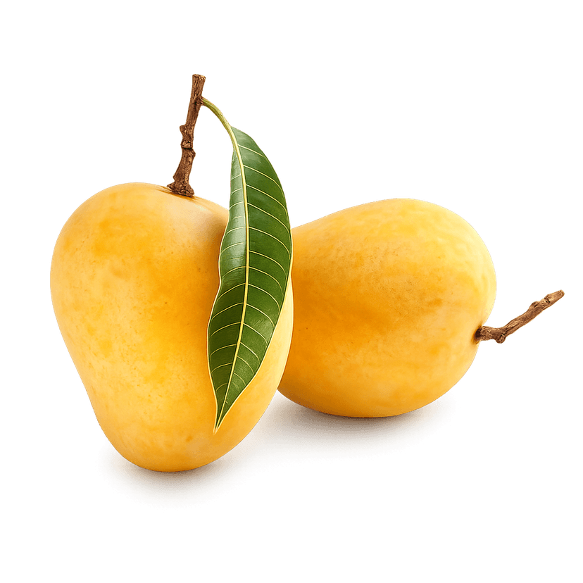 Alphonso Mango