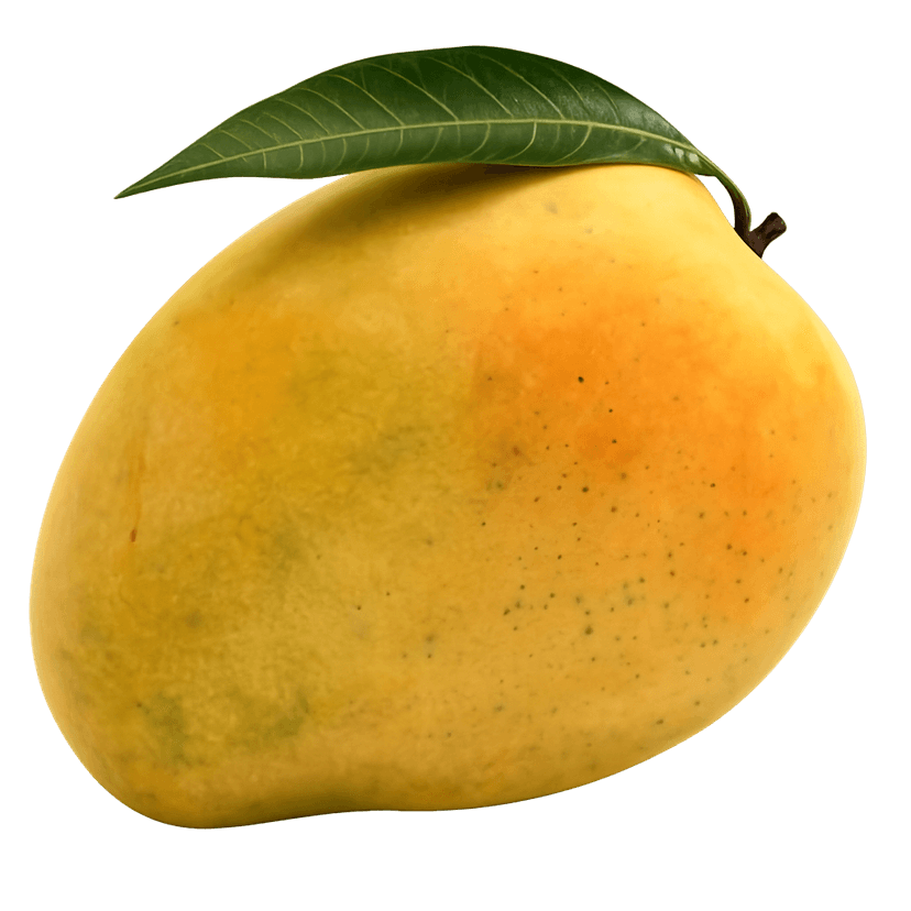 Banganapalli Mango