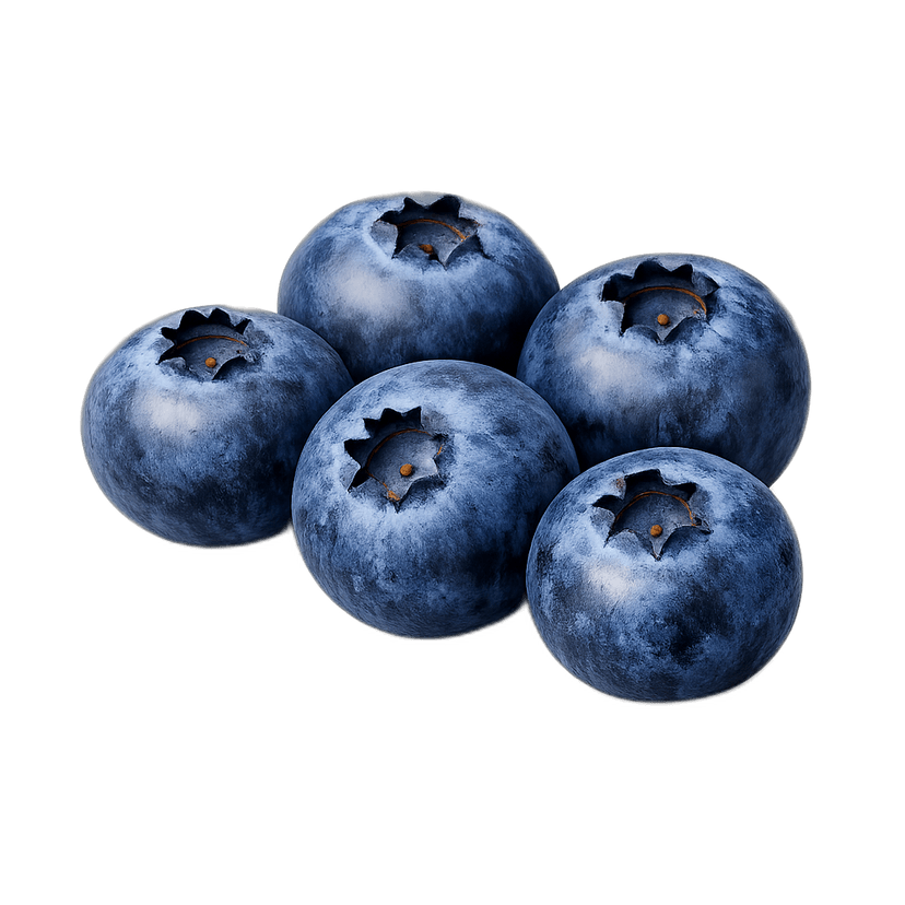 Fresh Blueberries