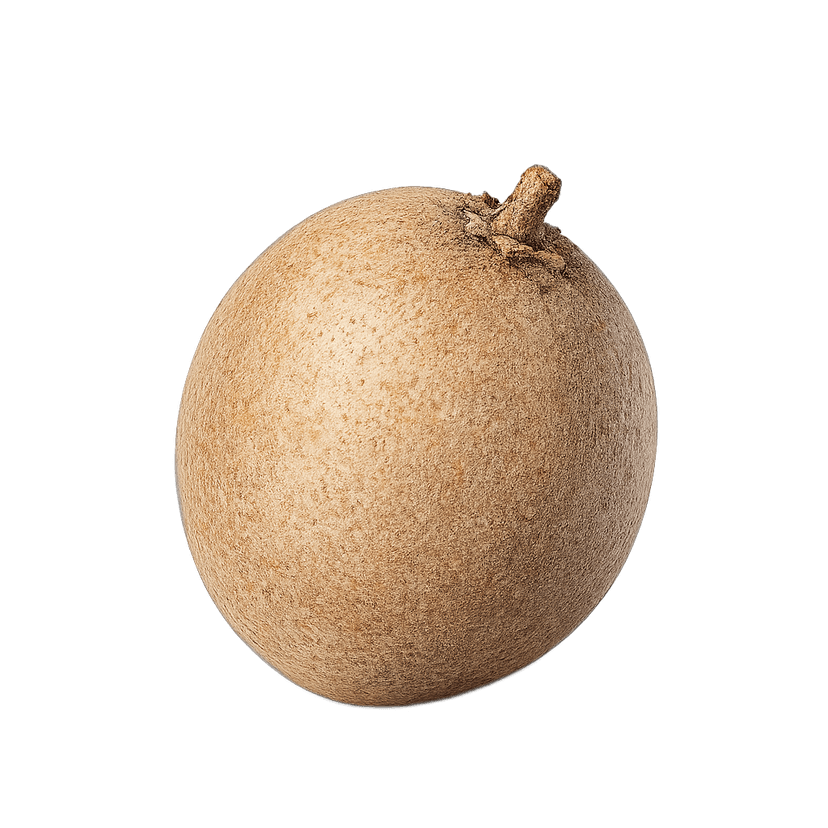 Sapota (Chikoo)