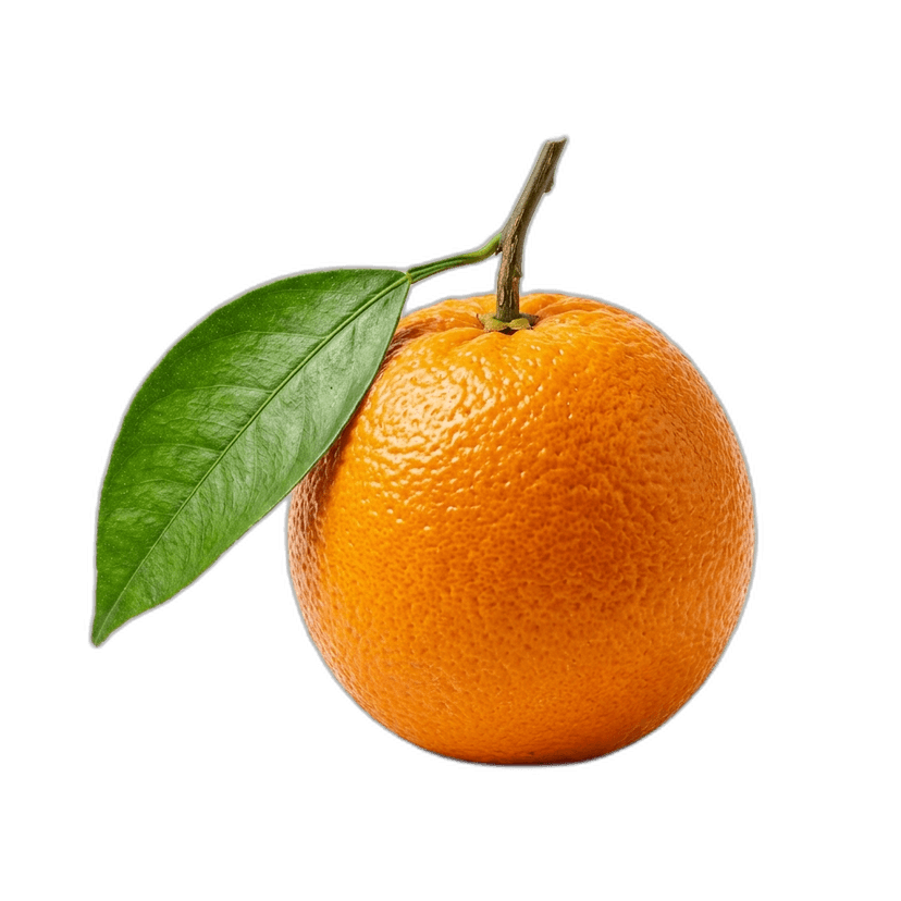 Valencia Orange