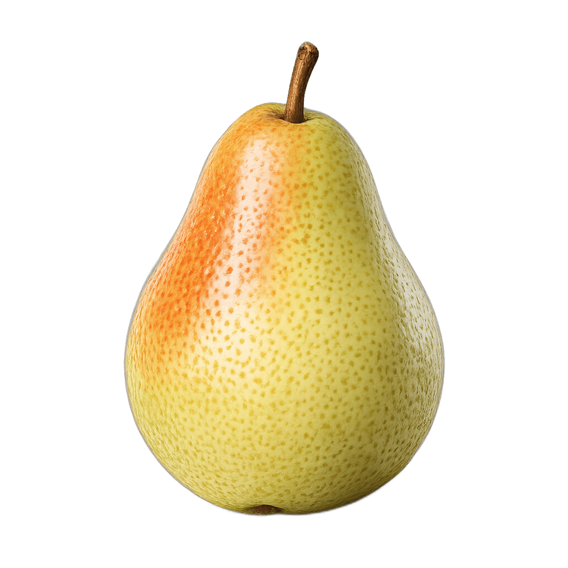 Bosc Pear